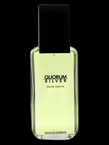 QUORUM SILVER EDT 100ML