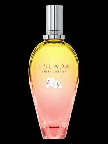 BRISA CUBANA EDT 50ML
