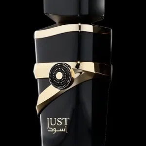 FRAGRANCE WORLD - JUST MEN EDP 100ML