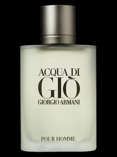 ACQUA DI GIO MEN 100ml EDT